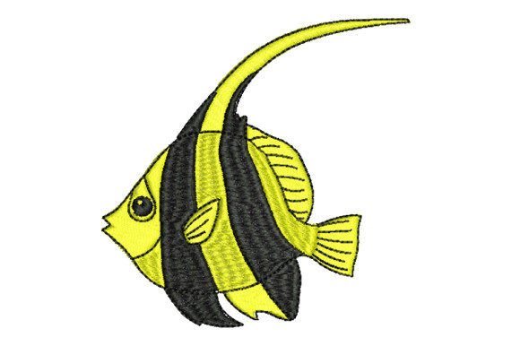 Clownfish As Pet: A Designer’s Review for Merch
